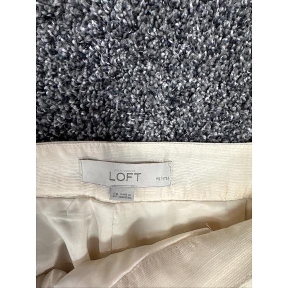 Ann Taylor Loft Multi Colored‎ Skirt Size 2P - Picture 3 of 4